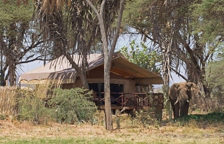 4-Day Safari Adventure in Nairobi and Samburu National Reserve