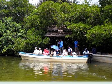 Southern Sri Lanka Sightseeing Private Day Trip