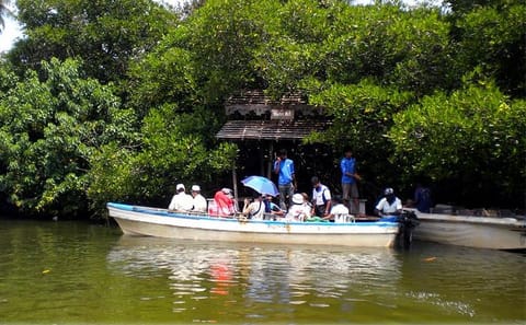 Galle Private Day Trip: Sightseeing in Southern Sri Lanka