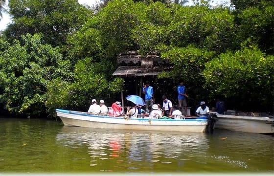 Southern Sri Lanka Sightseeing Private Day Trip