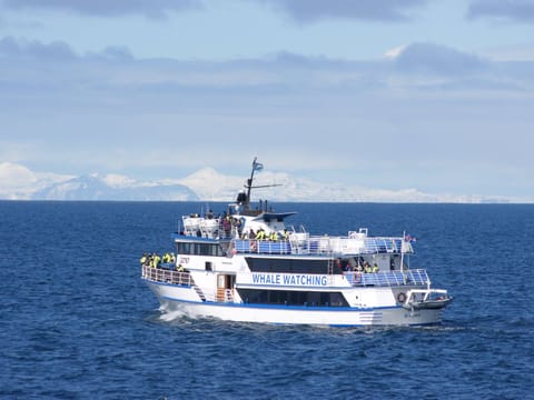 Whale Watching, photo 3