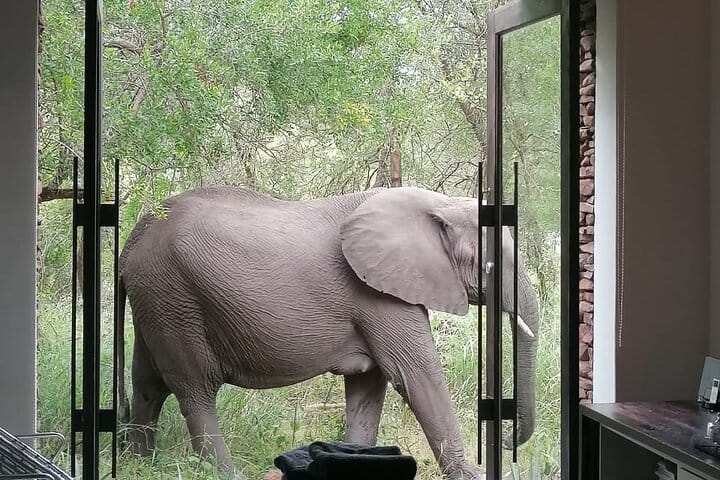 4-Day Birding in Murchison Falls National Park