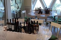 Private Wine Tour in 3 Wineries with 12 Wine Tastings and Tapas 7