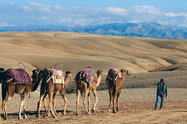 Quad Biking & Camel Ride in Agafay Desert with Dinner Show  3