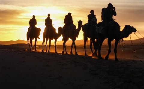Luxury 2-Day Desert Tour from Errachidia to Fes or Marrakech