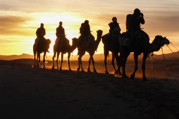 Luxury 2-Day Desert Tour from Errachidia to Fes or Marrakech