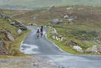 Electric biking the Great Western green way. Mayo. Self-guided.  6