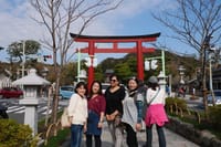 Kamakura Nature &amp; Culture Tour with Magical Trip