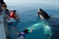 Mirissa Whale Watchin Tour From Hambantota 1