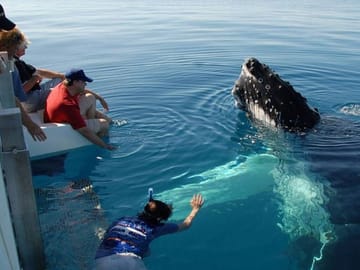 Whale Watching Tour from Hambantota to Mirissa, Sri Lanka