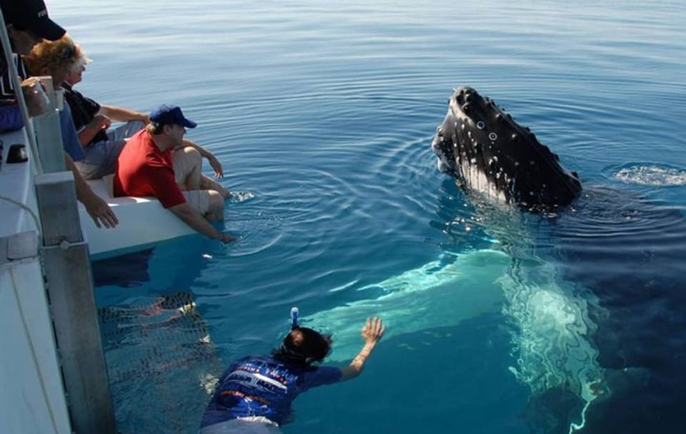 Mirissa Whale Watchin Tour From Hambantota