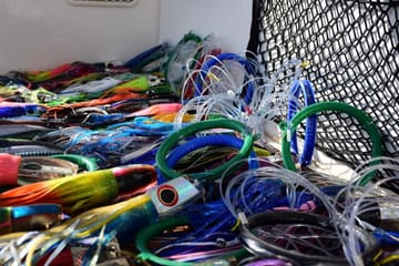 Fishing Half Day Boat Trip Tangier