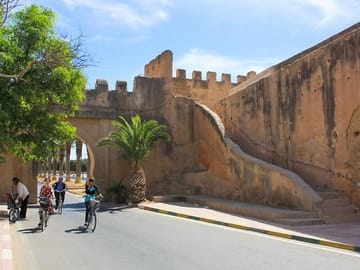 from agadir : Essaouira – guided day trip