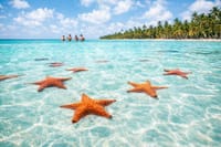 Saona Island Speedboat Tour from Punta Cana + Natural Pool 4