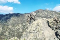 Griffon Vultures in the Blue Stones Nature Park Private Tour 3