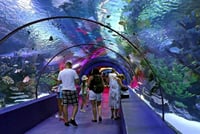 Kemer Private Antalya Aquarium Tour | All Inclusive 3