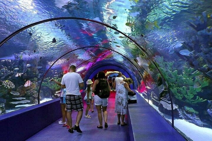 Kemer Private Antalya Aquarium Tour | All Inclusive 3