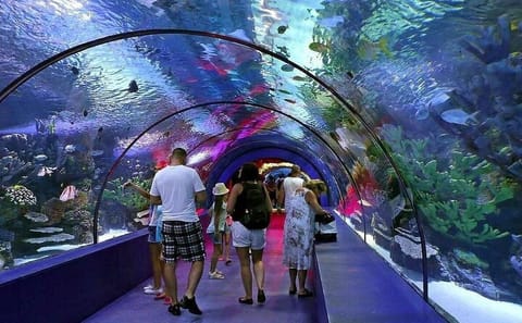 Antalya Aquarium and Fun Park Half-Day Tour with Pickup