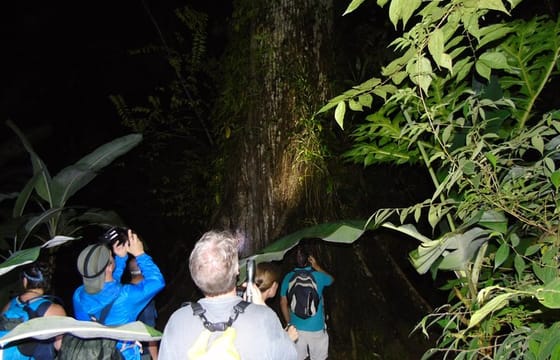 NativosCorcovado Night Hike