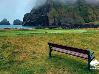 Vestmannaeyjar Day Tour, photo 6