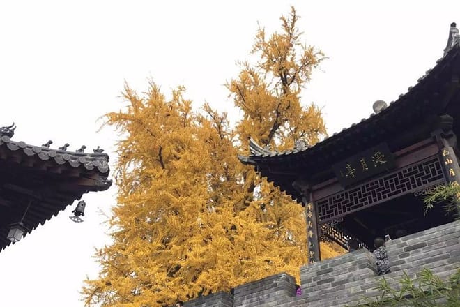 Private Day Tour in Xian:Hanyangling Museum, Small Goose Pagoda, Xingjiao Temple 7