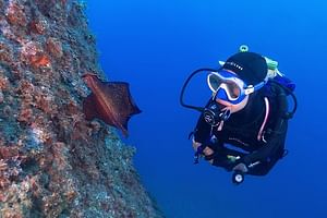 Small-Group Discover Scuba Diving Adventure 