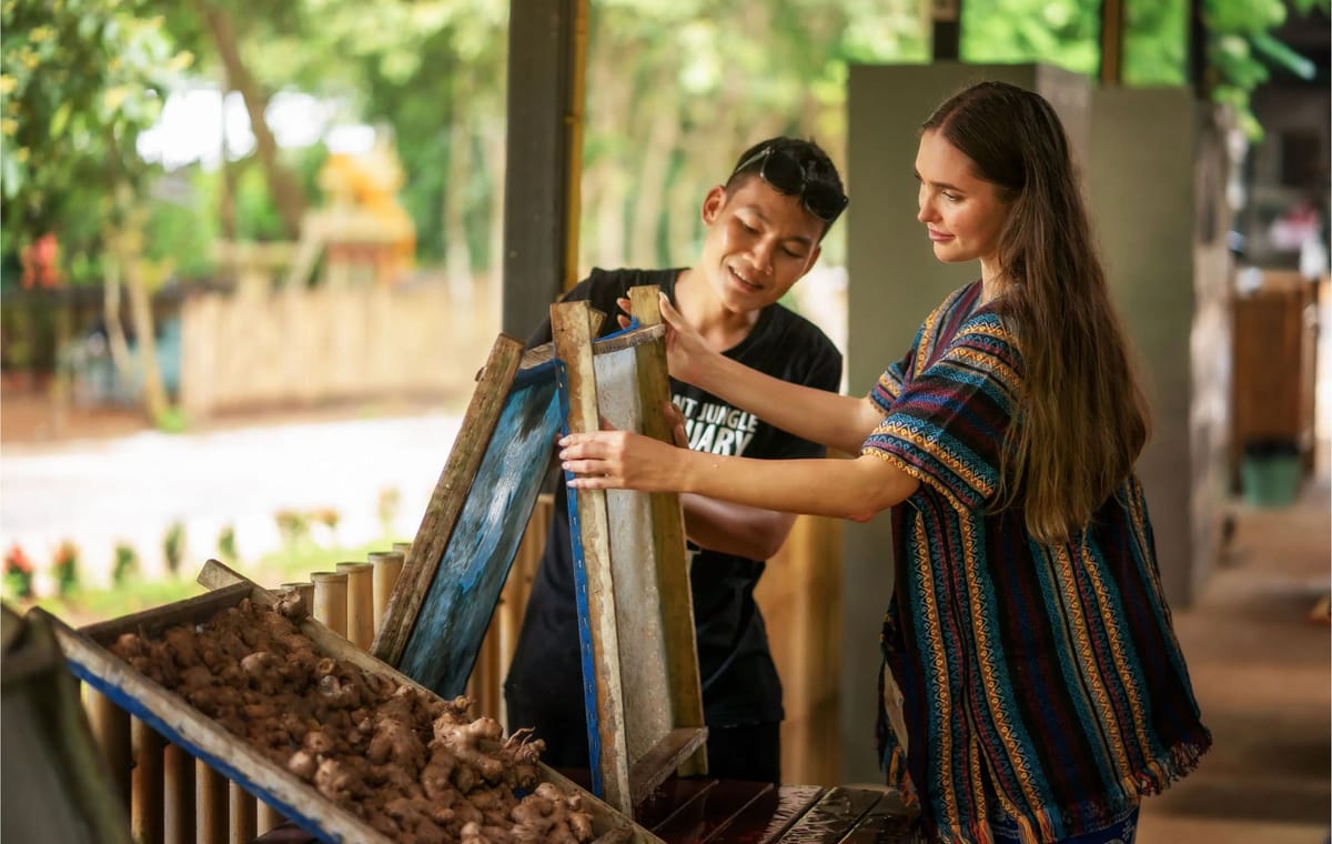 Phuket: Walk With Elephants Experience