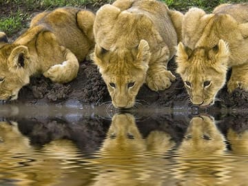 9 Days Unforgettable Tanzania