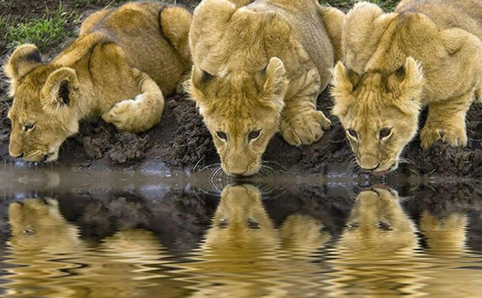 9 Days Unforgettable Tanzania