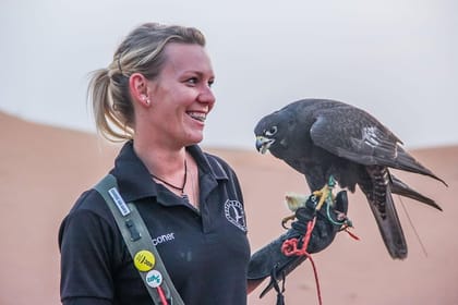 Dubai Combo:City Tour and Premium Desert Safari with all Activities