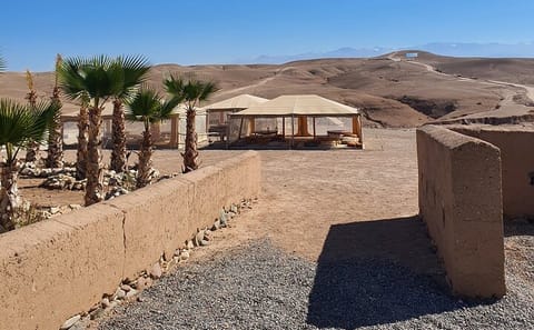 Camel Ride and Dinner Experience in Agafay Desert, Marrakech