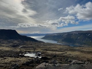 Isafjordur and Westfjords Private Tour, photo 14