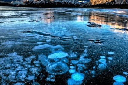 Ice Bubbles at Abraham Lake/Sunwapta Falls