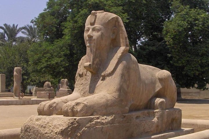 Day Tour Memphis Sakkara Citadel and Mohamed Ali Mosque from Giza 5