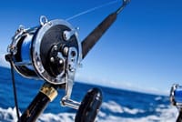 Fishing &amp; Snorkeling By Speed Boat Tour (Semi Private) - Hurghada
