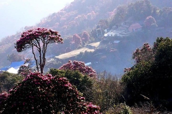 19 Days Mera Peak Climbing & Expedition – One Life-Changing Himalayan Adventure