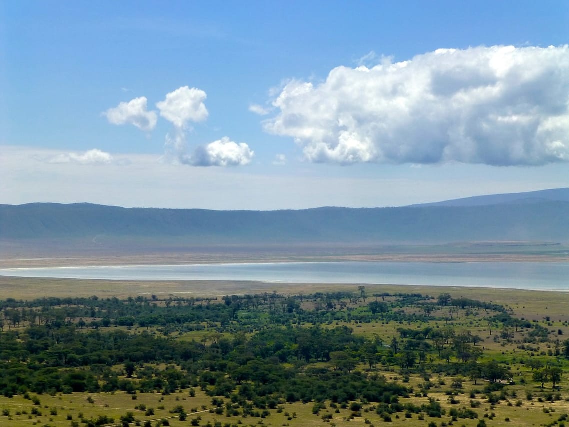 4 days,3 nights group joining lodge safari to Serengeti ,Ngorongoro and Manyara 10