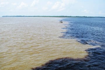 Amazon Dolphin And Meeting Of The Waters With Native Village Tour