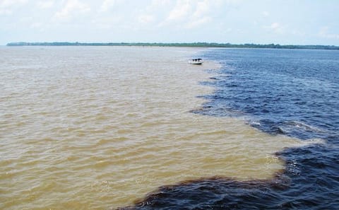 Amazon Dolphin and Meeting of Waters Tour in Manaus
