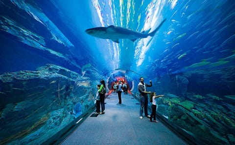 Private Half Day Dubai City Tour with Burj Khalifa and Mall