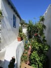 <p>blue and white in Athens</p>