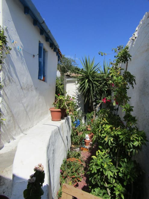 <p>blue and white in Athens</p>