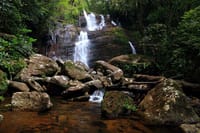  From Hambantota: Sinharaja Trekking Day Tour 7