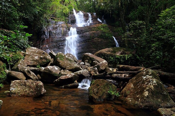  From Hambantota: Sinharaja Trekking Day Tour 7