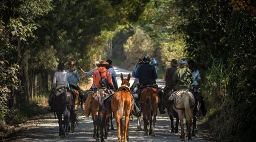 Paseo a Caballo en la Calera