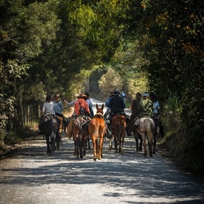 Paseo a Caballo en la Calera