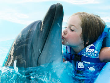 Premium 10 Minutes Dolphin Swimming Experience – Hurghada