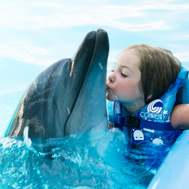 Premium 10 Minutes Dolphin Swimming Experience - Hurghada