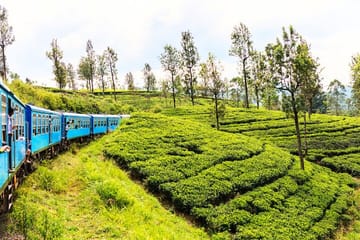 Sri Lanka Full Circle 4-Day Private Tour