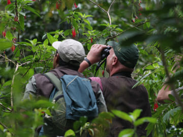 Pmal-04 : Macaw Magic: 3 Days at Tambopata’s Clay Lick